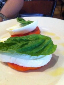 tomato and mozzarella salad