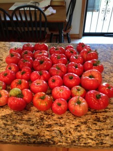 Fresh Picked Garden Tomatoes