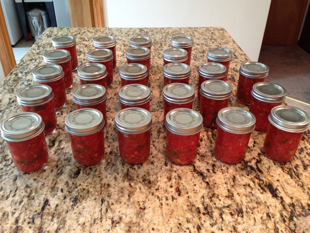 Fresh Garden Tomato Salsa Cooks and EatsCooks and Eats