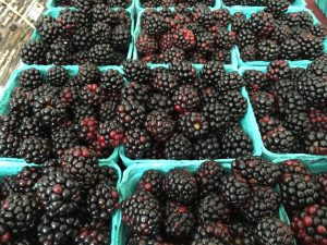 Blackberries