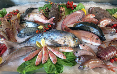 Fresh Fish